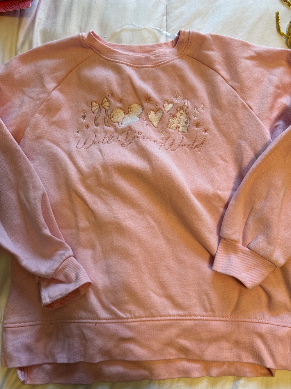 Disney, pink pullover sweatshirt, Walt Disney World exclusive M NWOT